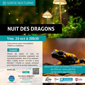 2025.10.24_Nuit des dragons châteliers